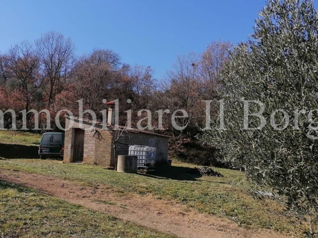 Terreno a Manciano in Montemerano - Foto 3