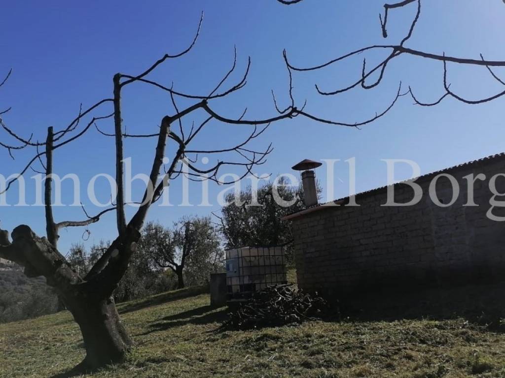 Terreno a Manciano in Montemerano - Foto 5