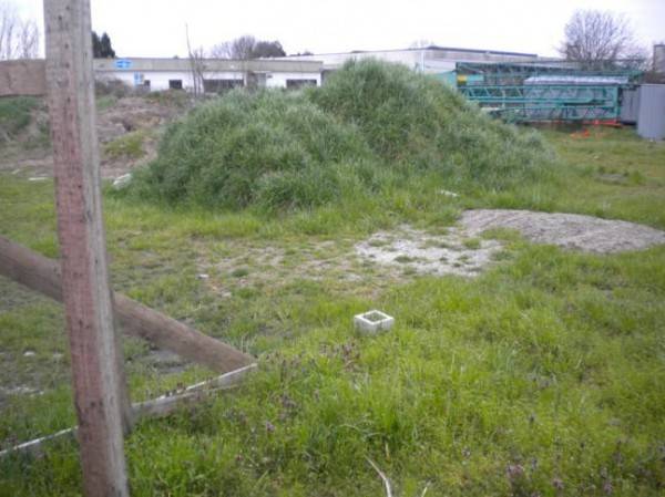 Terreno a Casalbeltrame in Via Carlo Alberto - Foto 2
