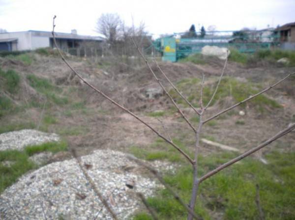 Terreno a Casalbeltrame in Via Carlo Alberto - Foto 5