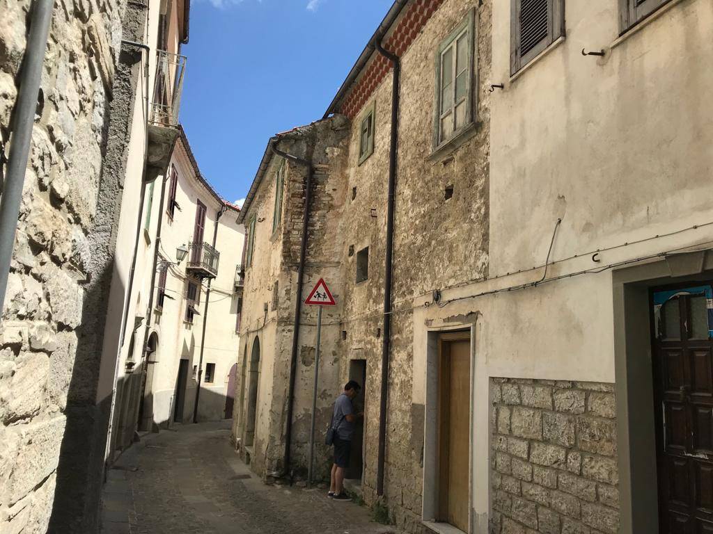 immagine di copertina