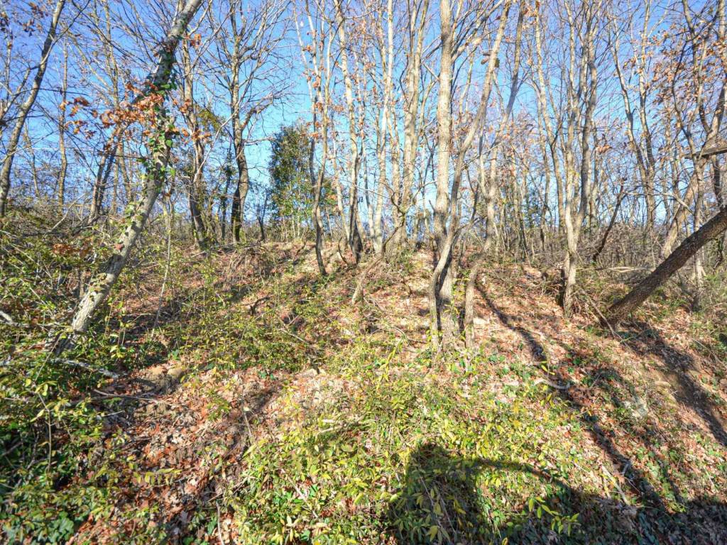 Terreno a Parrano in Manziano - Foto 3