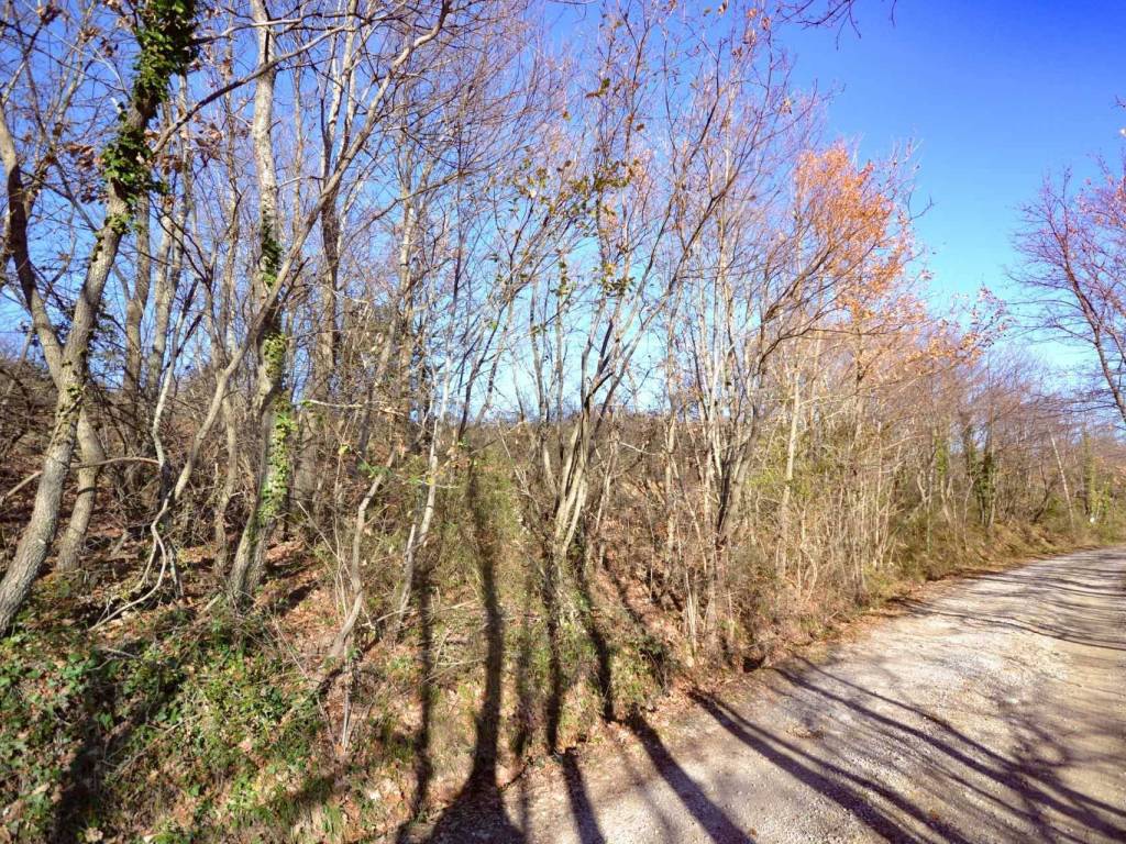 Terreno a Parrano in Manziano - Foto 4