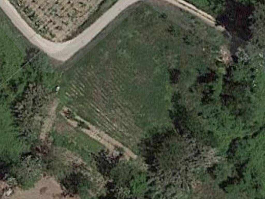 Terreno a Miglianico in Contrada Piane San Pantaleone, 70 - Foto 3