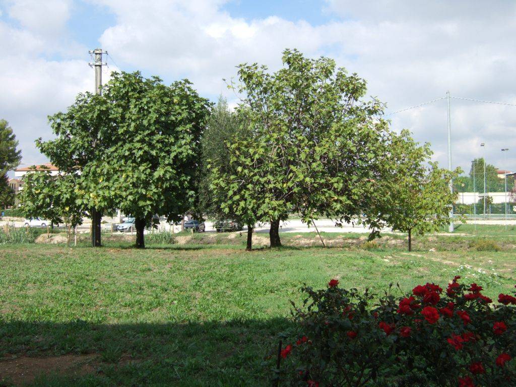 Casa indipendente a Morrovalle in Via Vincenzo Monti - Foto 2