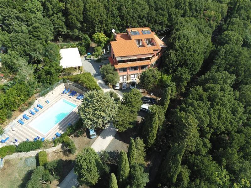 Attività / licenza a Riparbella - Foto 4