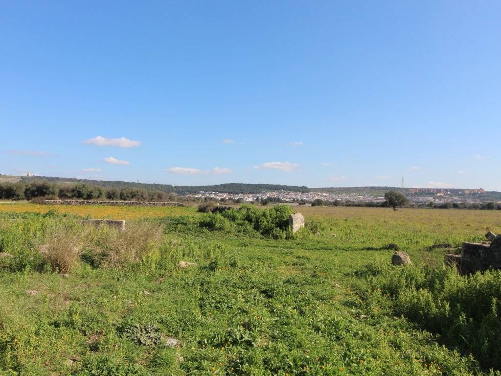 Rustico / casale a Faggiano in Strada Provinciale Talsano Faggiano - Foto 4