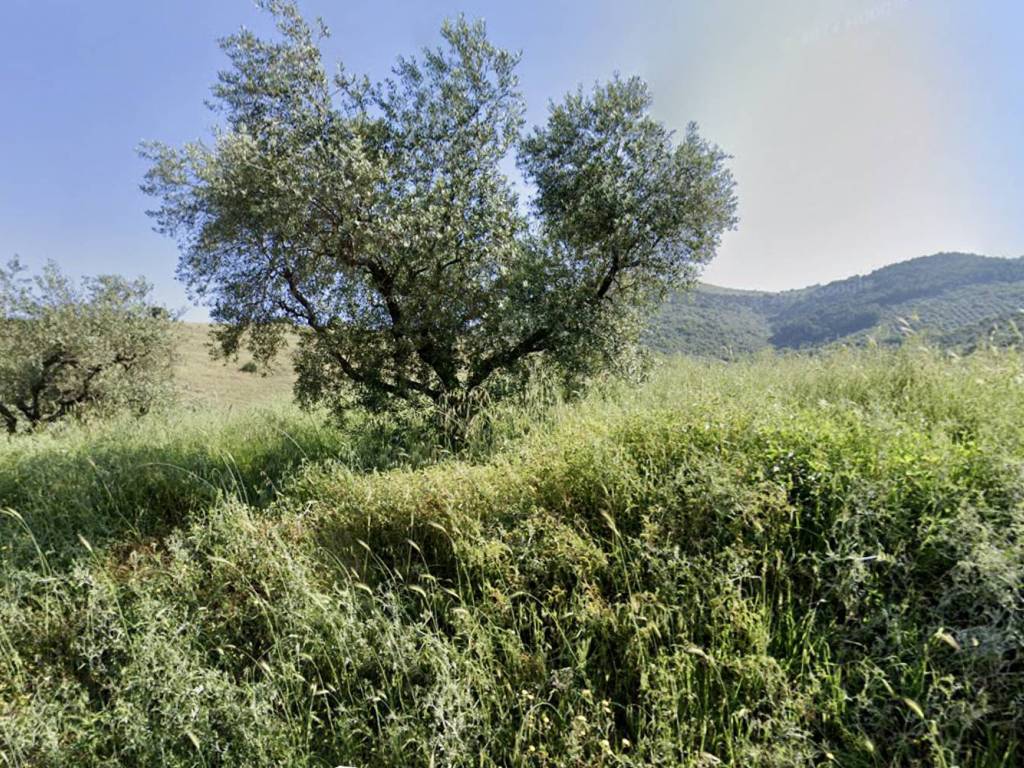 Terreno a Cori in Via Roma - Foto 4