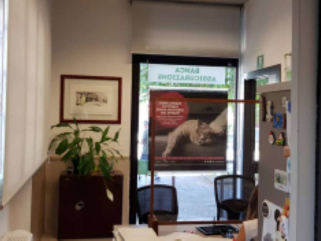 Immobile a Alfonsine in via Antonellini 10 - Foto 3