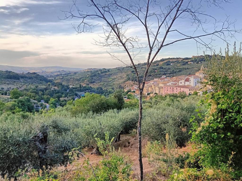 Terreno a Larino in Via Cluenzio - Foto 2