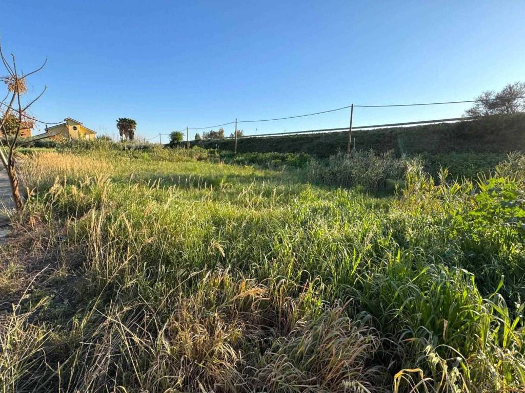 Terreno a Cropani - Foto 4