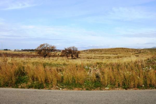 Terreno a Scalea - Foto 4