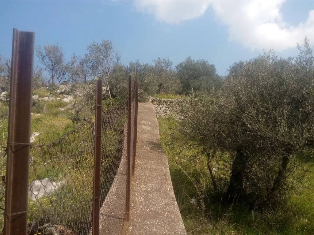 Terreno a Sirignano in Via Gesu' E Maria S.N.C. - Foto 2