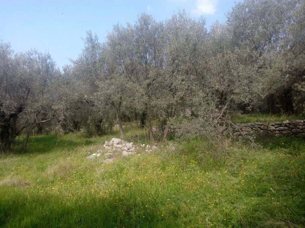 Terreno a Sirignano in Via Gesu' E Maria S.N.C. - Foto 4