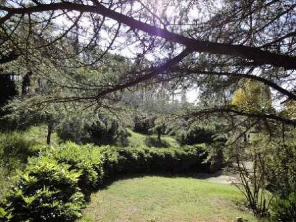 Villa a Sansepolcro in Località Paradiso - Foto 5