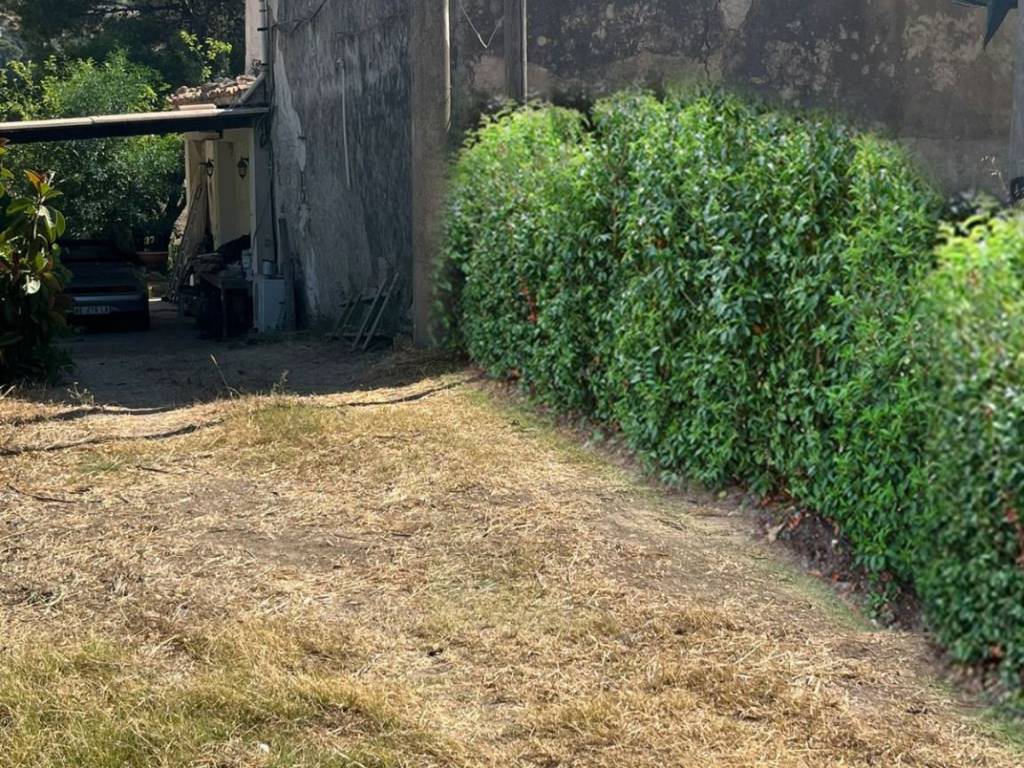 Terreno a Castellammare del golfo in Contrada Balata di Baida - Foto 3