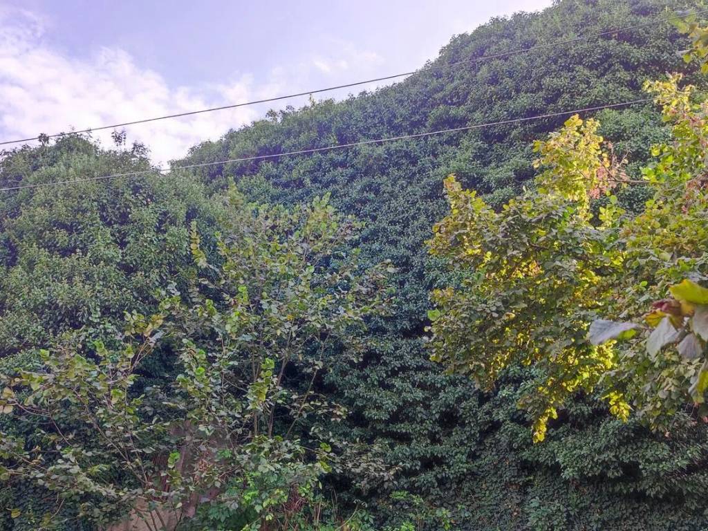 Terreno a Avellino in Via Caselle S.N.C. - Foto 4