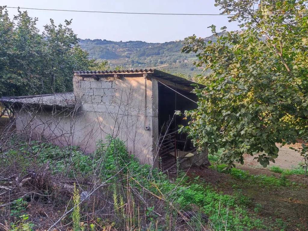 Terreno a Avellino in Via Caselle S.N.C. - Foto 5