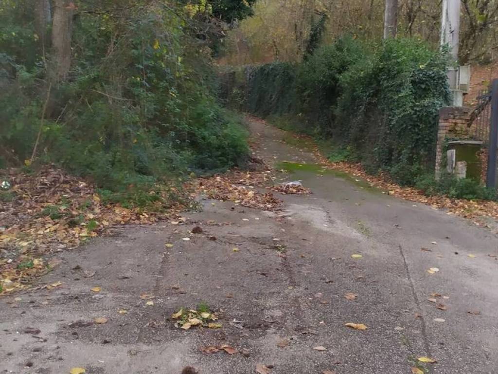 Terreno a Avellino in Contrada Scrofeta S.N.C. - Foto 3