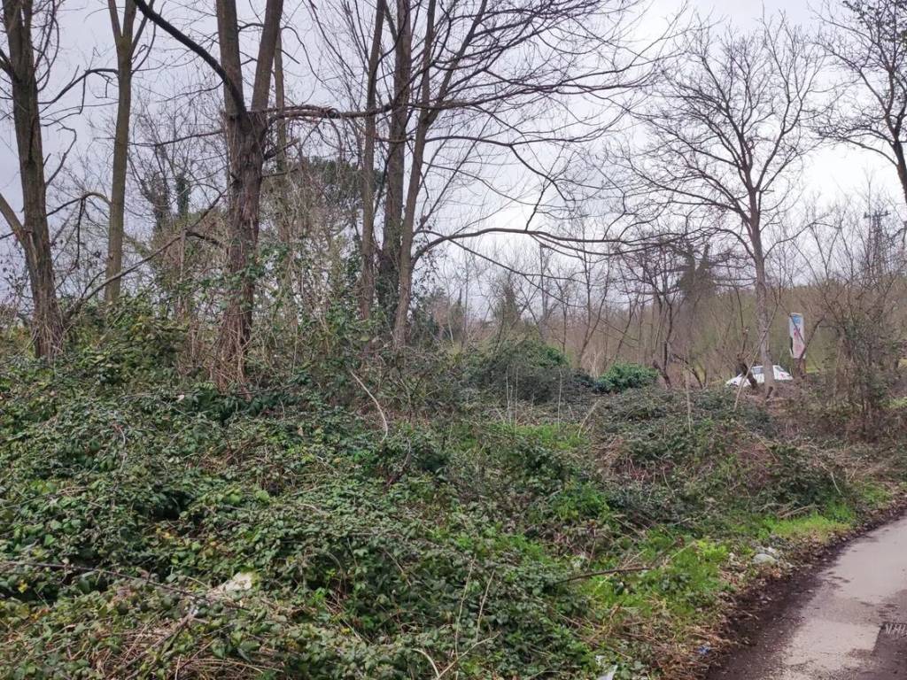 Terreno a Avellino in Contrada Scrofeta S.N.C. - Foto 4