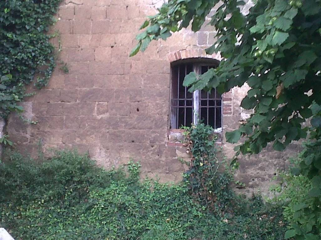 Terreno a Avellino in Via Caselle S.N.C. - Foto 4