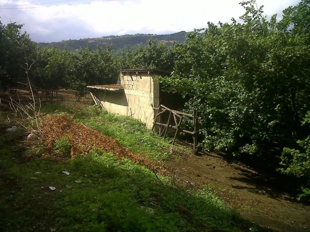 Palazzo / stabile a Avellino in Via Caselle S.N.C. - Foto 5
