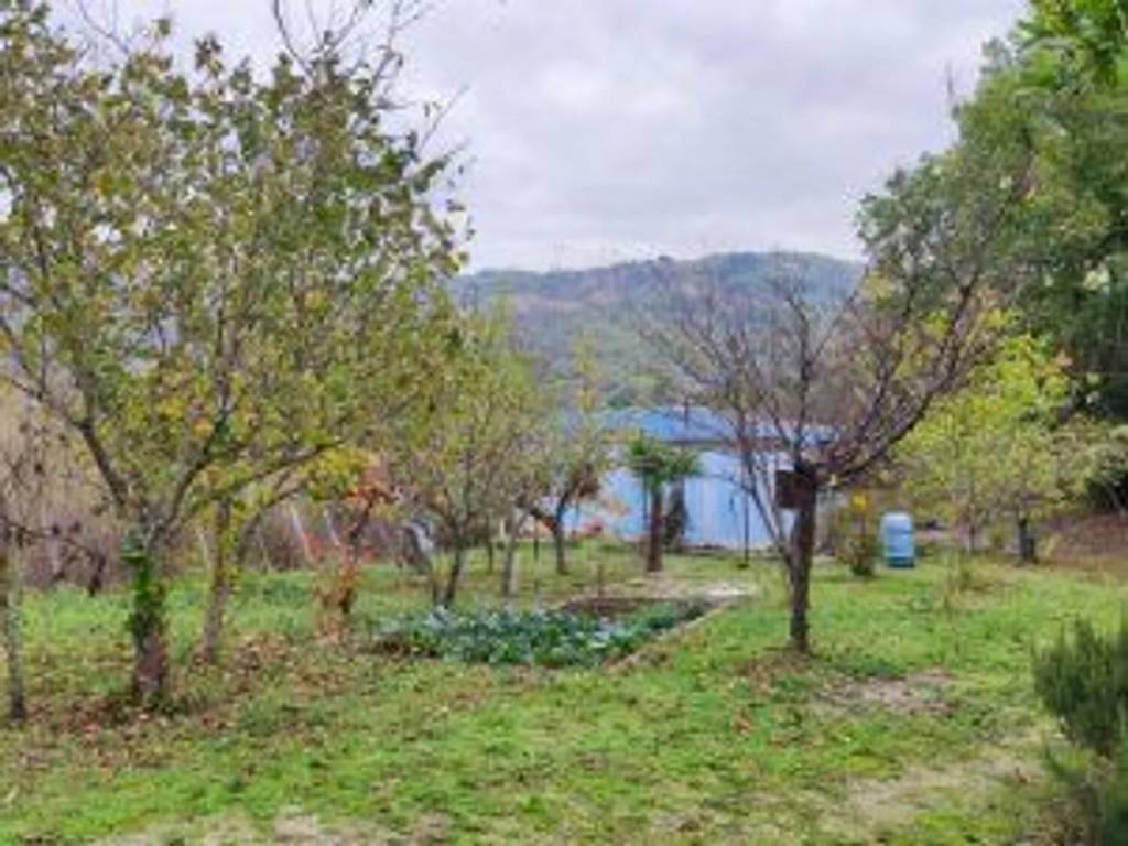 Rustico / casale a San mango sul calore in Provinciale S.N.C. - Foto 2