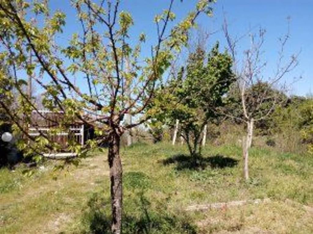 Rustico / casale a San mango sul calore in Provinciale S.N.C. - Foto 4