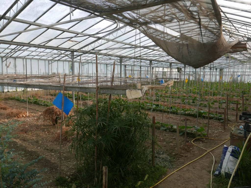 Terreno a San biagio della cima - Foto 3