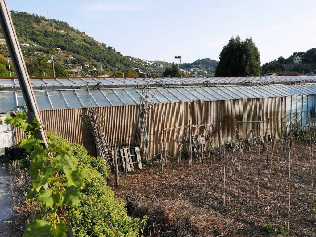 Terreno a San biagio della cima - Foto 4