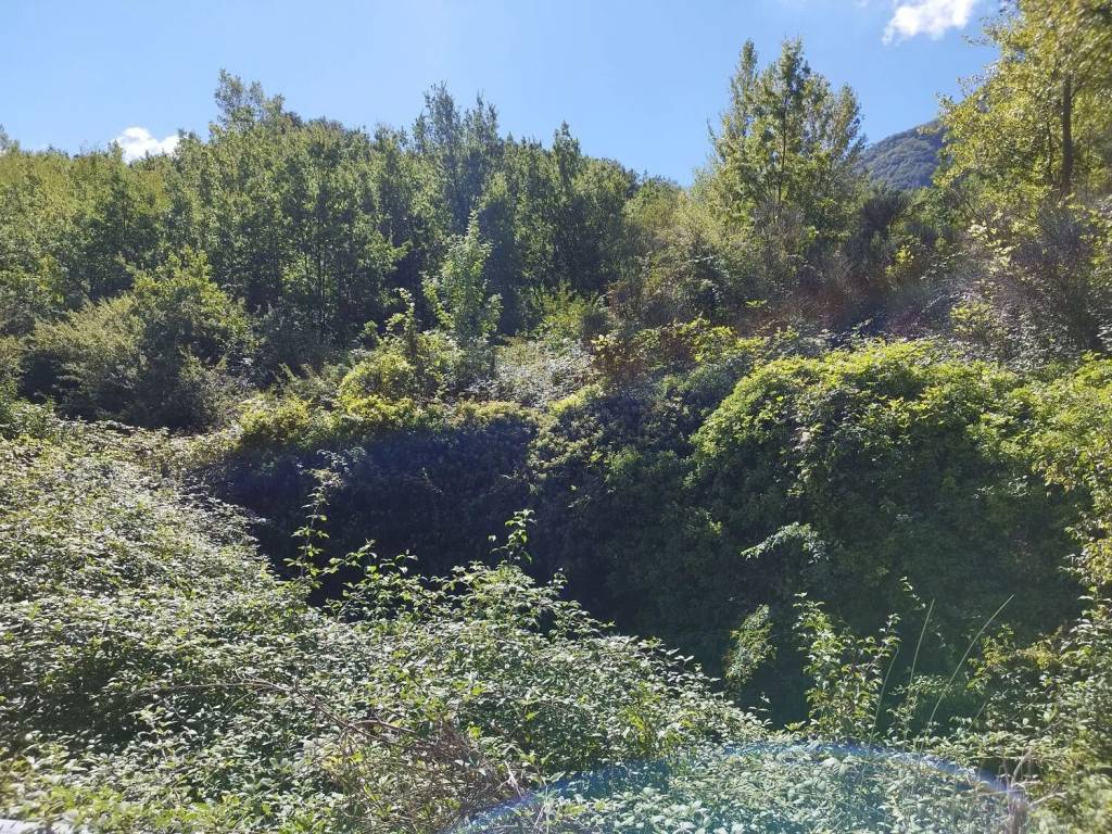Rustico / casale a San mango sul calore in Via Provinciale S.N.C. - Foto 5