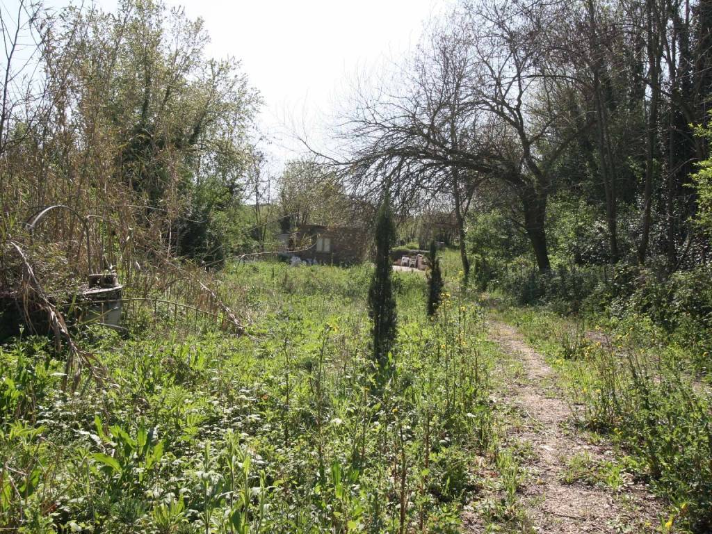 Rustico / casale a San nicola manfredi in Contrada Mezzaricotta - Foto 2