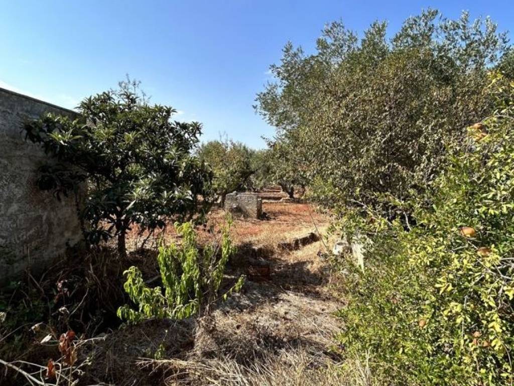 Rustico / casale a Ostuni in Contrada Camastra, snc - Foto 4