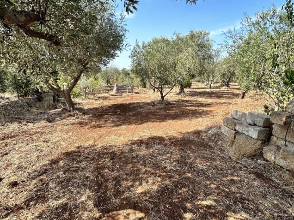Rustico / casale a Ostuni in Contrada Camastra, snc - Foto 5