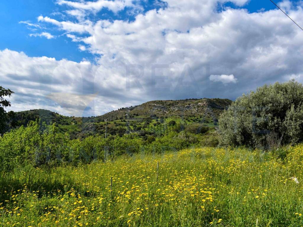 Terreno a Noto in Via Tommaso Fazello, 228 - Foto 2