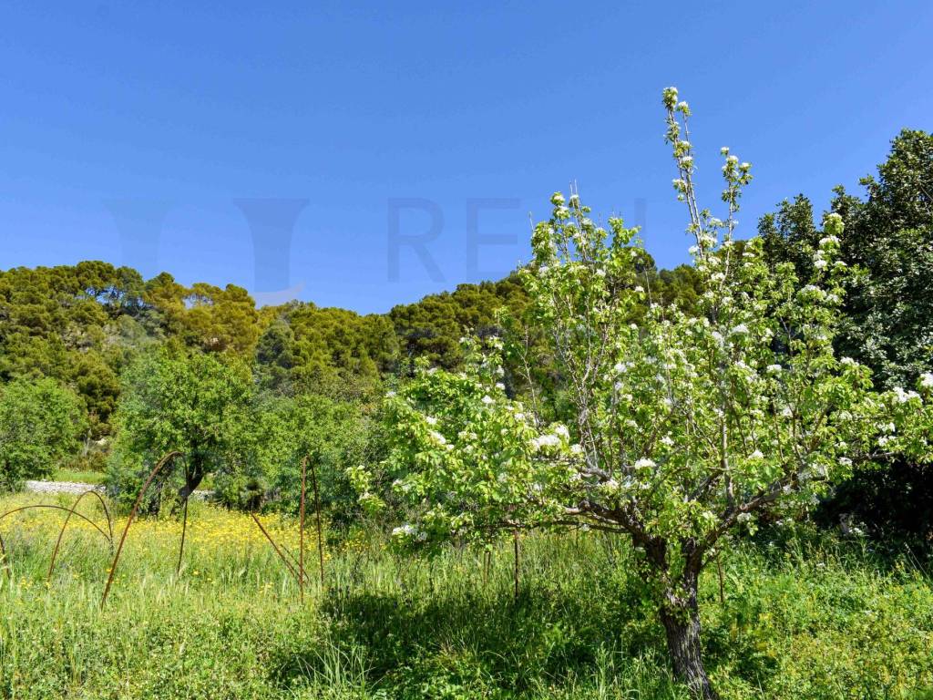 Terreno a Noto in Via Tommaso Fazello, 228 - Foto 4