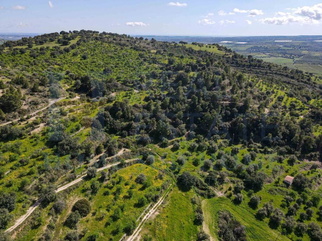 Terreno a Noto in Via Tommaso Fazello, 228 - Foto 5