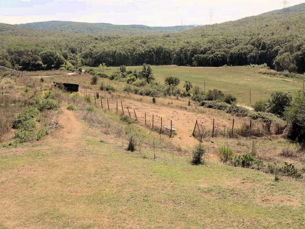 Rustico / casale a Suvereto - Foto 3