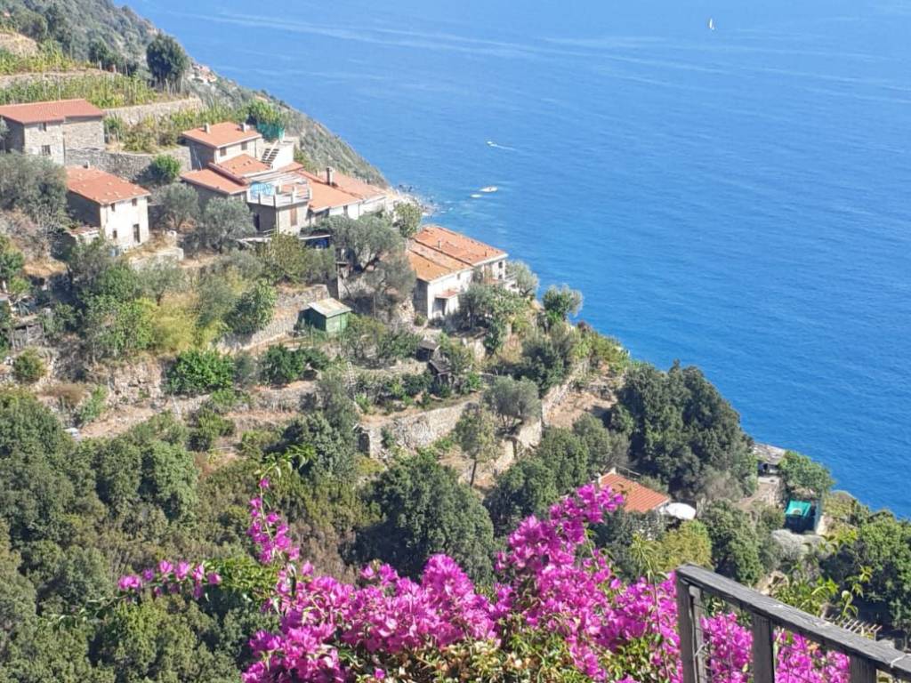 Rustico / casale a La spezia in Schiara - Foto 2
