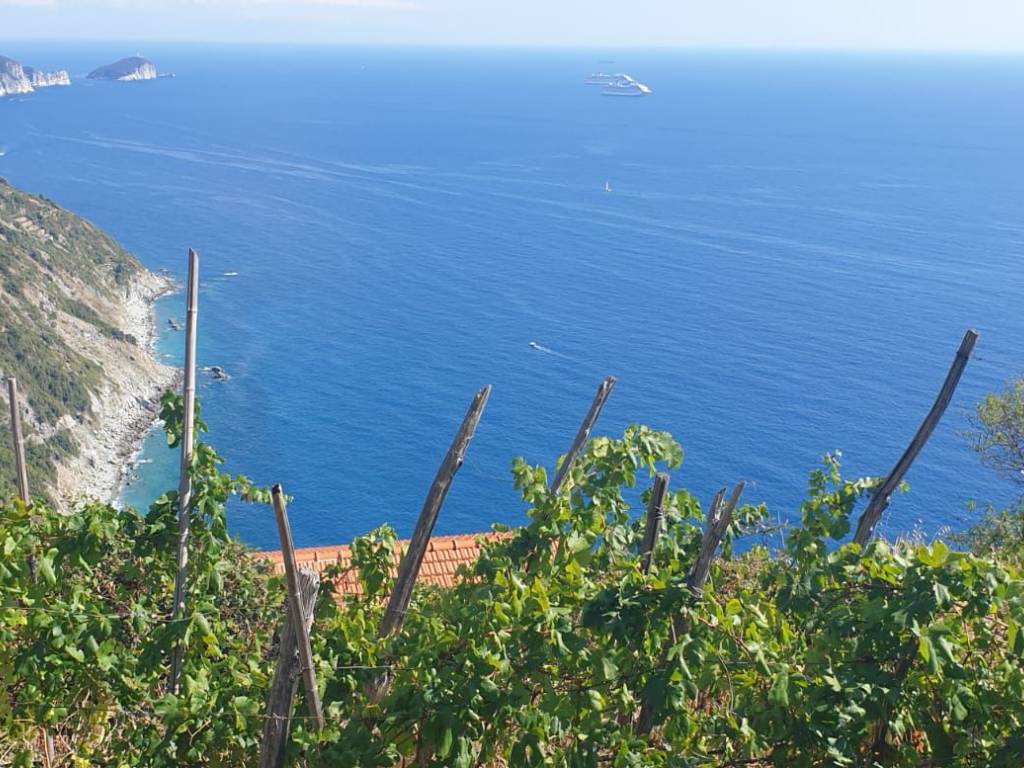 Rustico / casale a La spezia in Schiara - Foto 5