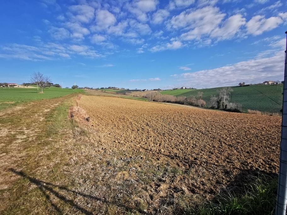 Terreno a Osimo - Foto 2