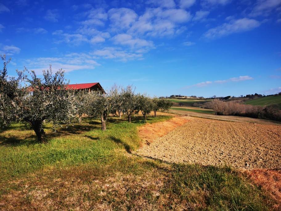 Terreno a Osimo - Foto 3