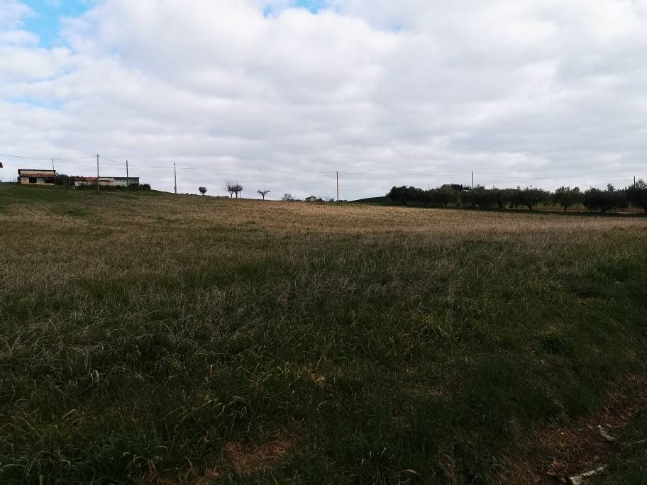 Terreno a Osimo - Foto 4
