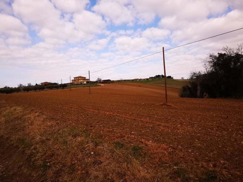 Terreno a Osimo - Foto 5