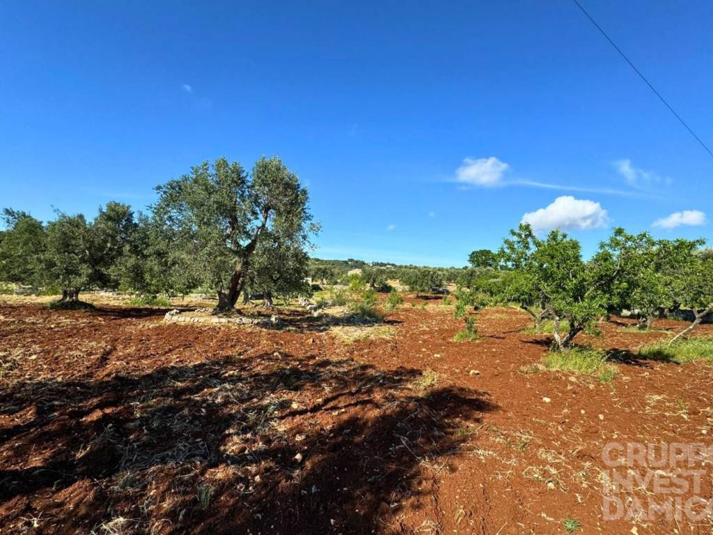 Rustico / casale a Ostuni in Contrada Badessa - Foto 4
