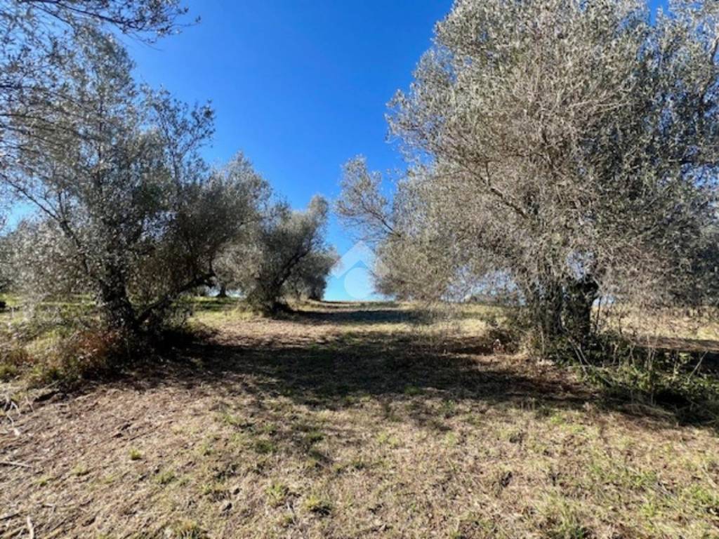 Terreno a Montefiascone in Località Commenda - Foto 3