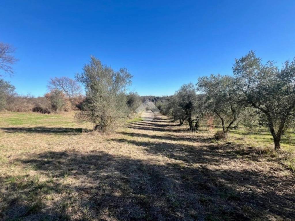 Terreno a Montefiascone in Località Commenda - Foto 4