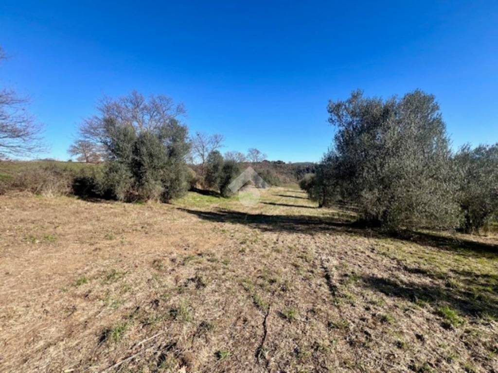 Terreno a Montefiascone in Località Commenda - Foto 5