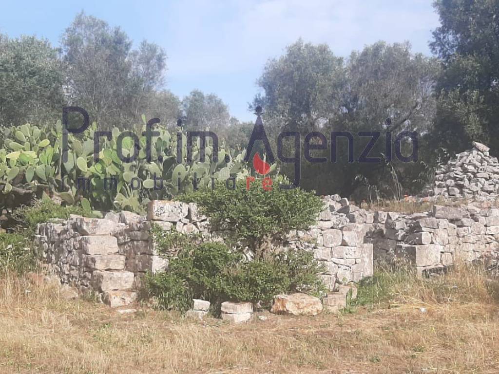 Rustico / casale a San michele salentino - Foto 4