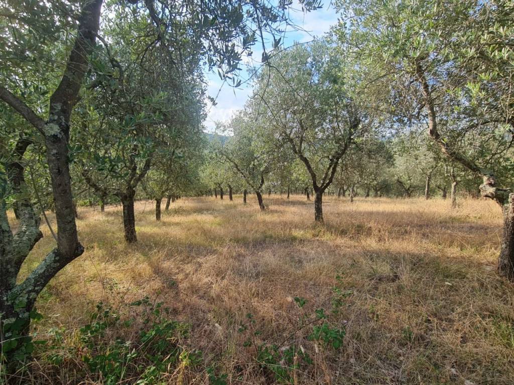 Rustico / casale a Bucine in Strada Provinciale Procacci - Foto 5